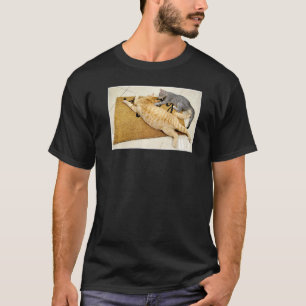 Cute Cat stuff for Cat girls women men kids boys T-Shirt