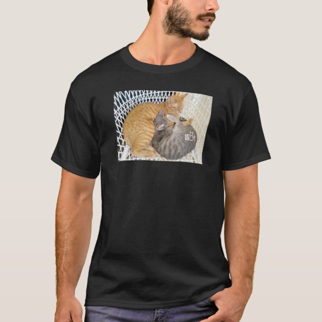 Cute Cat stuff for Cat  girls women men kids boys T-Shirt (Front)