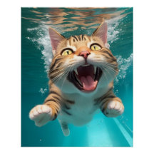 Cute Cat Swimming Diving Underwater in Pool Funny