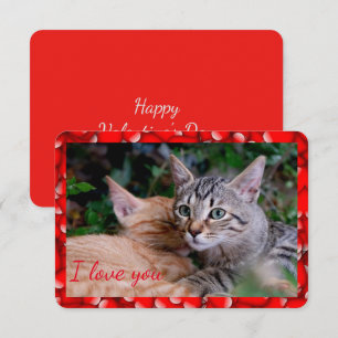 Cute Cat Valentine Card