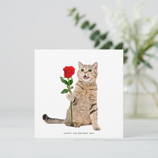 Cute Cat Valentines Day Card (Standing Front)
