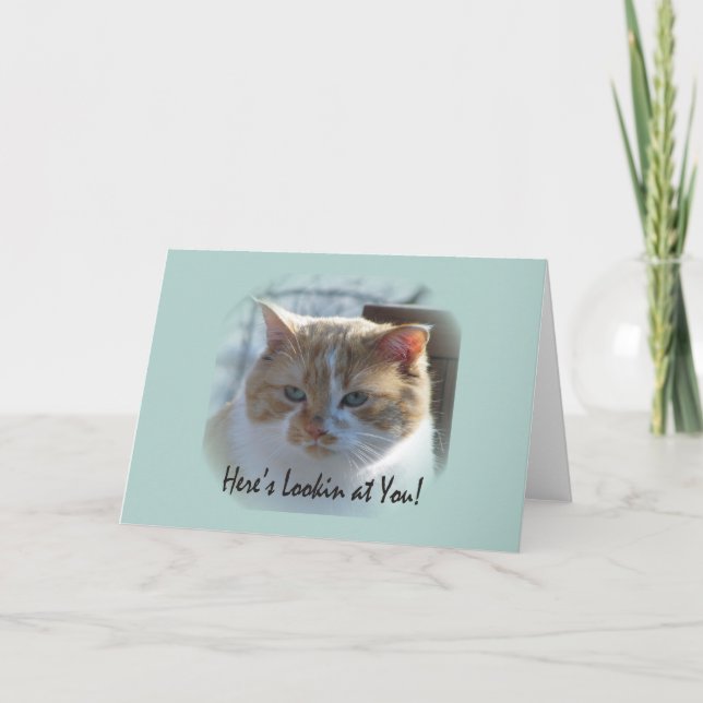 Cute Cat Vignette Greeting Card (Front)