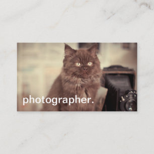 Cute Cat Vintage Camera Photographer Business Card