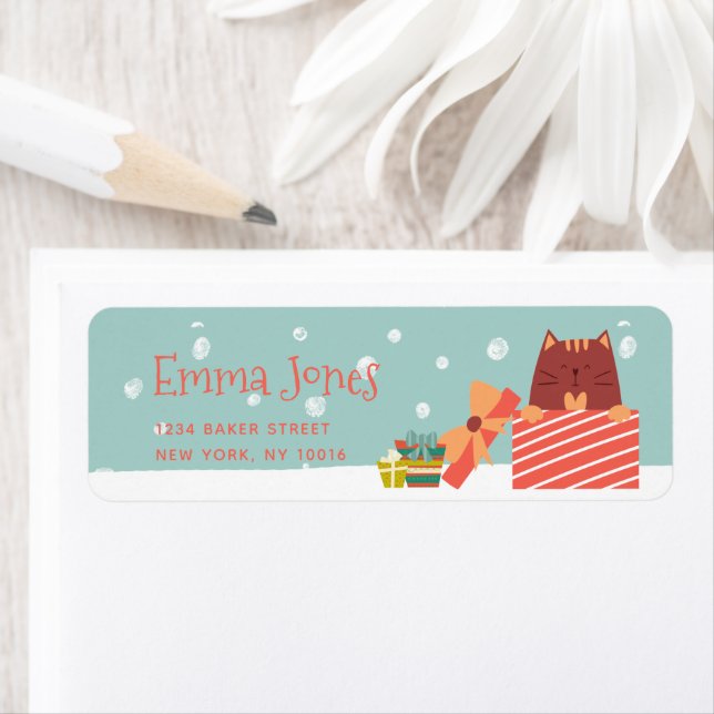 Cute Cat w Christmas Present Aqua Green Christmas  (Insitu)