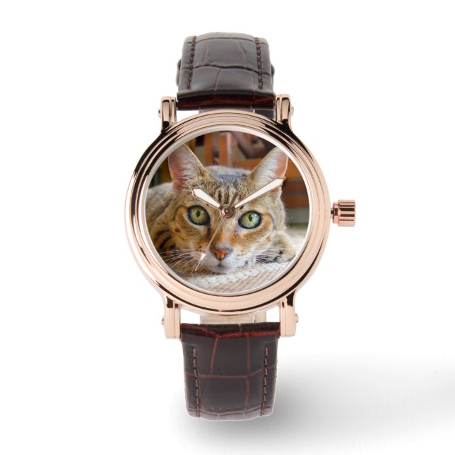 Cute Cat watches (Front)