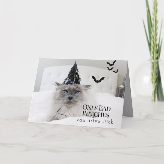 Cute Cat Witch Hat Halloween Card (Front)