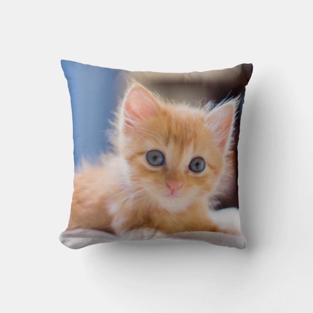 Cute Cat With Blue Eyes Cushion (Front)