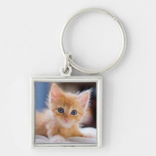 Cute Cat With Blue Eyes Key Ring