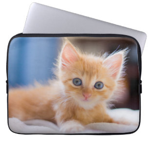 Cute Cat With Blue Eyes Laptop Sleeve