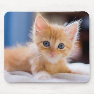 Cute Cat With Blue Eyes Mouse Mat