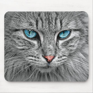 Cute cat with blue eyes mouse mat