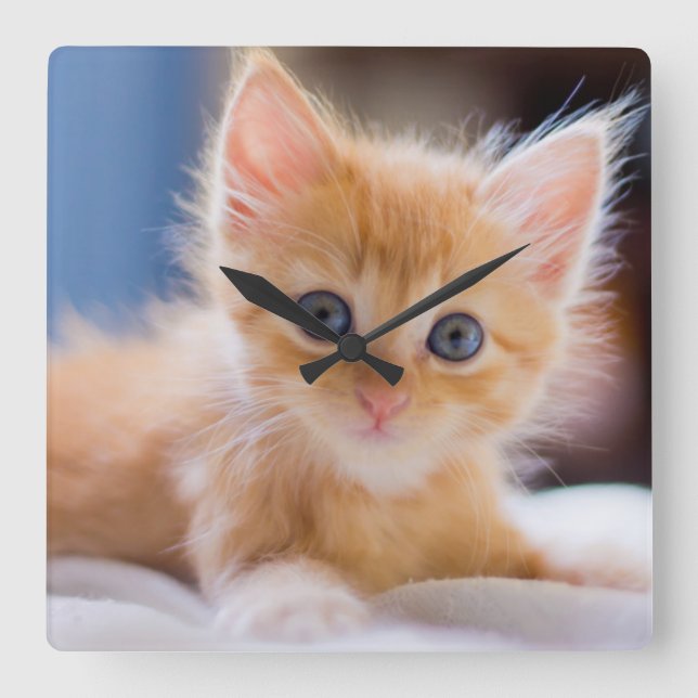 Cute Cat With Blue Eyes Square Wall Clock (Front)