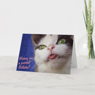 Cute Cat (with customisable text) Card
