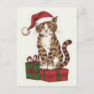 Cute cat with santa claus's hat with present holiday postcard