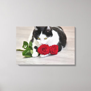 Cute cat with the red rose canvas print