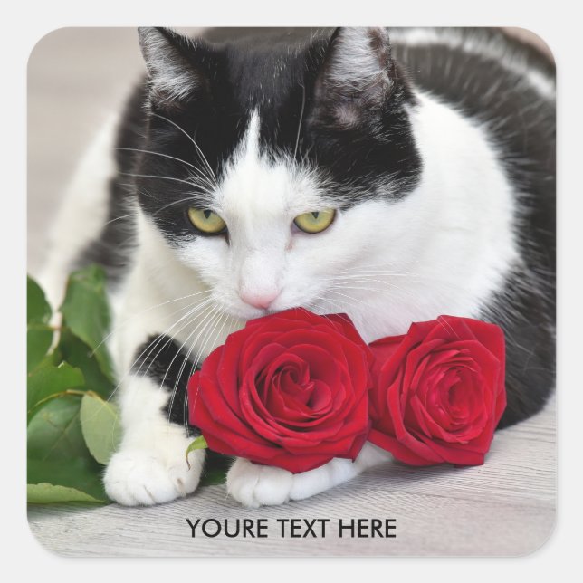 Cute cat with the red rose square sticker (Front)