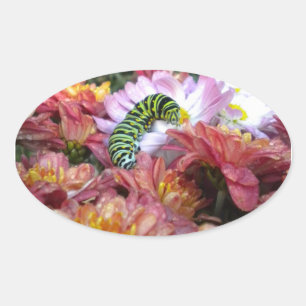 Cute Caterpillar Stickers