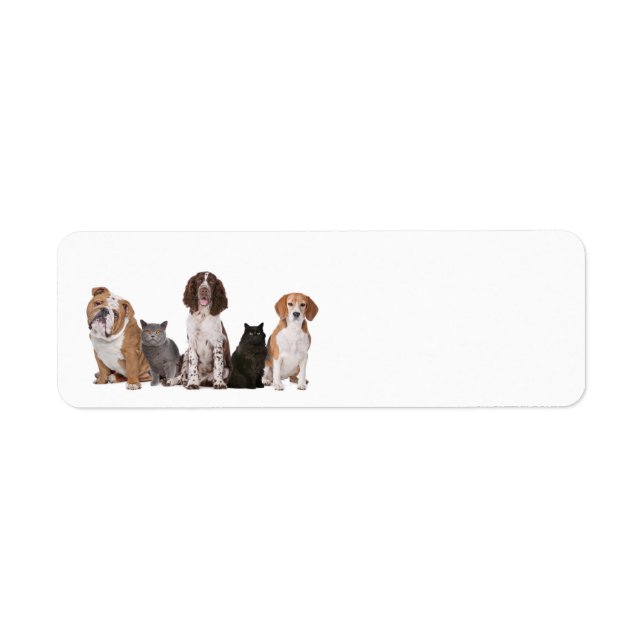 Cute cats and dogs (Front)