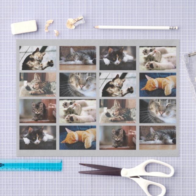Cute Cats and Kittens Photo Template on Grey Tissue Paper (Craft)