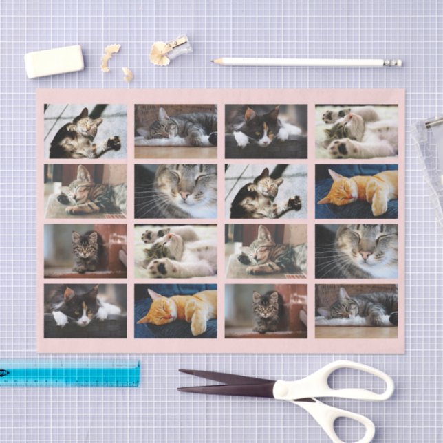 Cute Cats and Kittens Photo Template on Pink Tissue Paper (Craft)