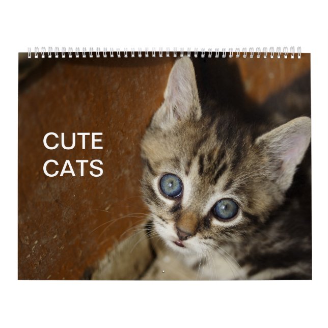 Cute Cats Calendar (Cover)