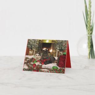 Cute cats celebrating Christmas Card