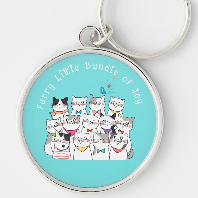 Cute Cats,Funny Cats Furry little Bundle of Joy  Key Ring (Front)