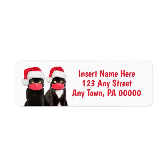 Cute Cats in Covid-19 Face Mask (Front)