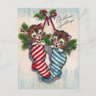 Cute Cats in Crhistmas Socks Postcard
