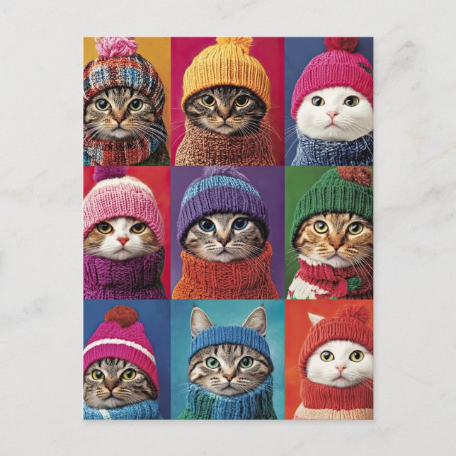 Cute Cats in Winter Hats Scarves Christmas Pets Postcard (Front)