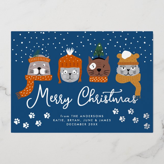 Cute Cats in Winter Knits in Snowflakes Blue Foil Holiday Card (Front)