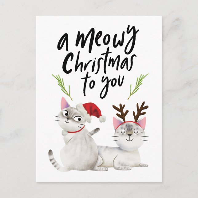Cute Cats Meowy Christmas For You Holiday Postcard (Front)