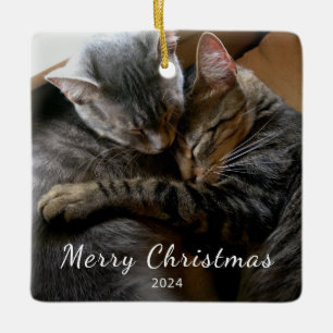 Cute Cats Photo Modern Christmas    Ceramic Ornament