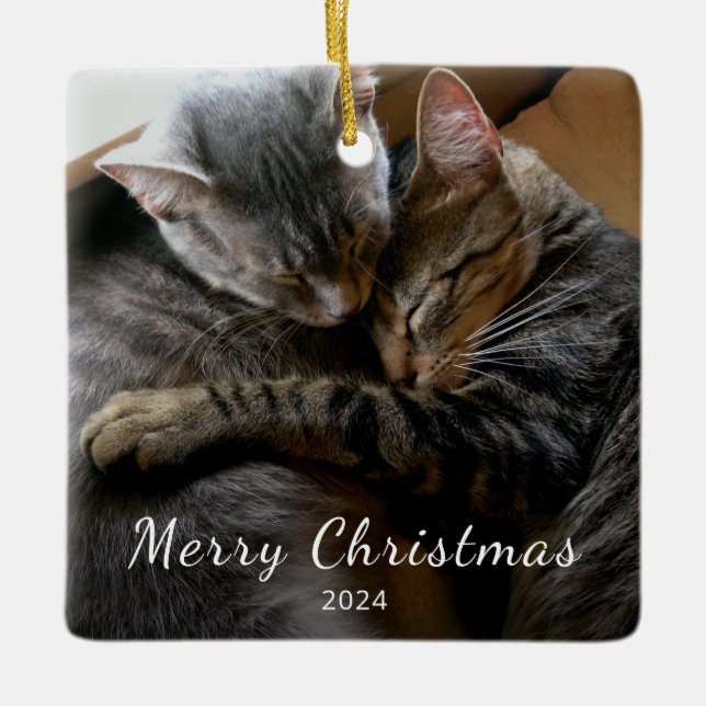 Cute Cats Photo Modern Christmas    Ceramic Ornament (Front)
