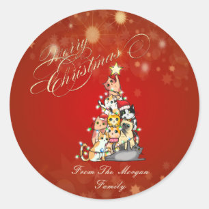 Cute Cats Pine Tree Red Christmas  Classic Round Sticker