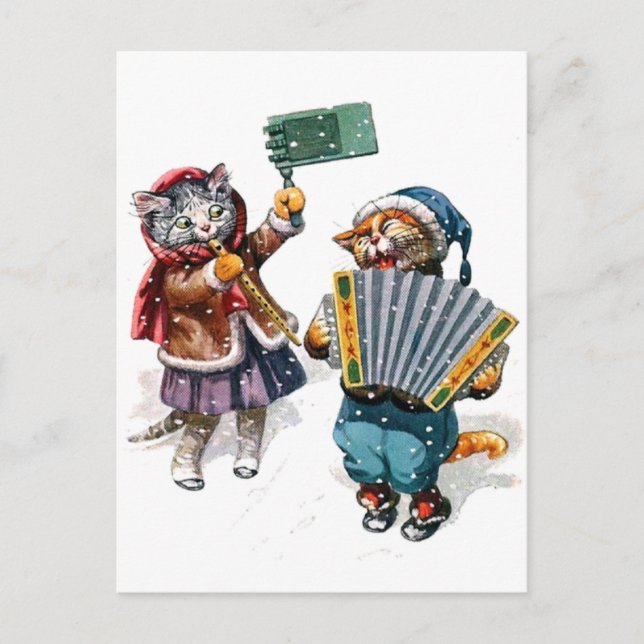 Cute Cats Play the Accordion in the Snow Postcard (Front)