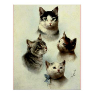 Cute Cats Poster