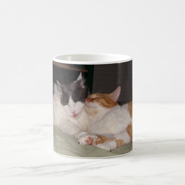 Cute Cats Sleeping Cats Rule Mug (Center)