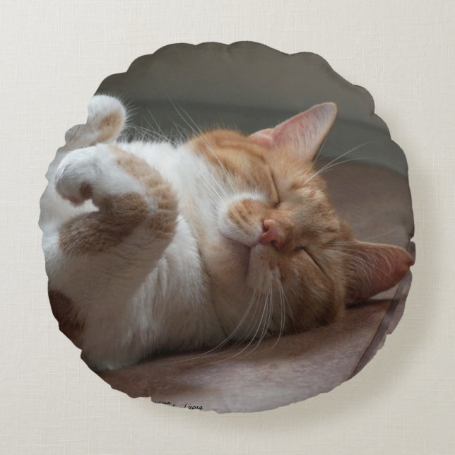 Cute Cats sleeping Round Throw Pillow (Front)