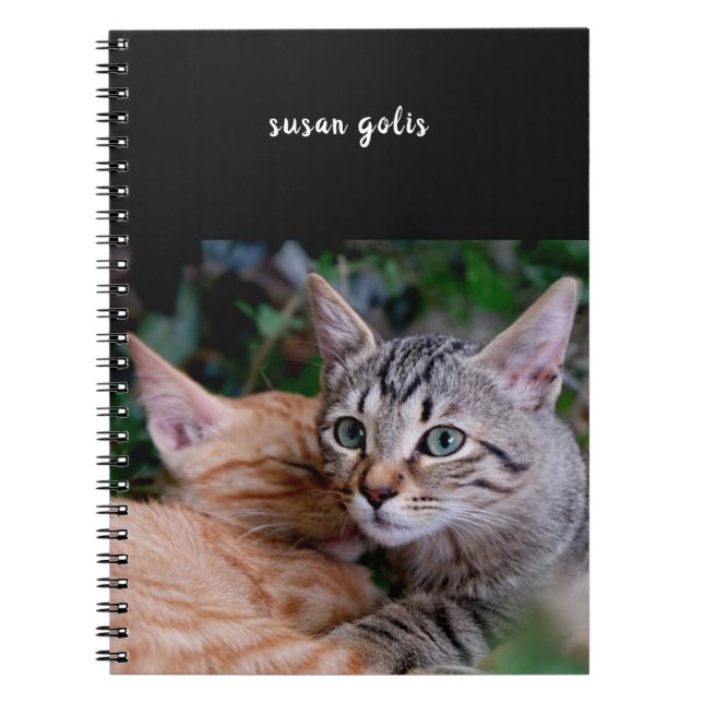 Cute Cats Spiral Photo Notebook (Front)