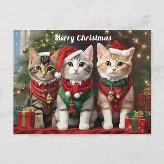 Cute Cats with Santa Hats Whimsical  Postcard