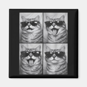 Cute Cats with Sunglasses Cool Cat Animals Photo Magnet