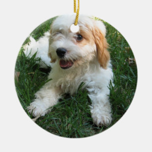 CUTE CAVAPOO PUPPY CERAMIC TREE DECORATION