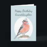 Cute Chaffinch, Happy Birthday Granddaughter Card<br><div class="desc">Cute Chaffinch,  Happy Birthday Granddaughter Bird Collection</div>