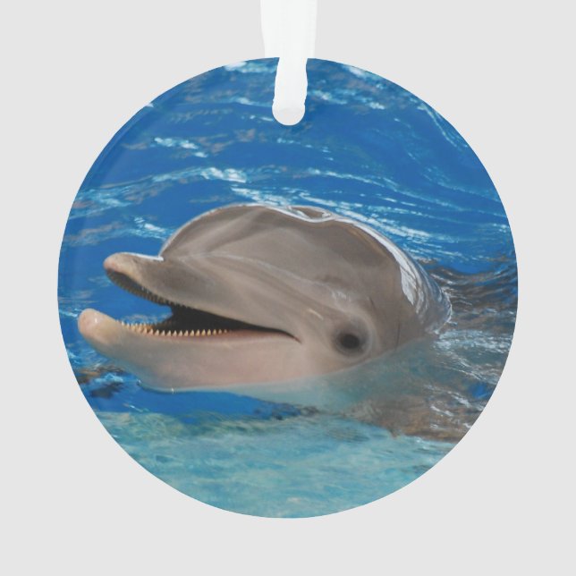Cute Chattering Dolphin Ornament (Back)
