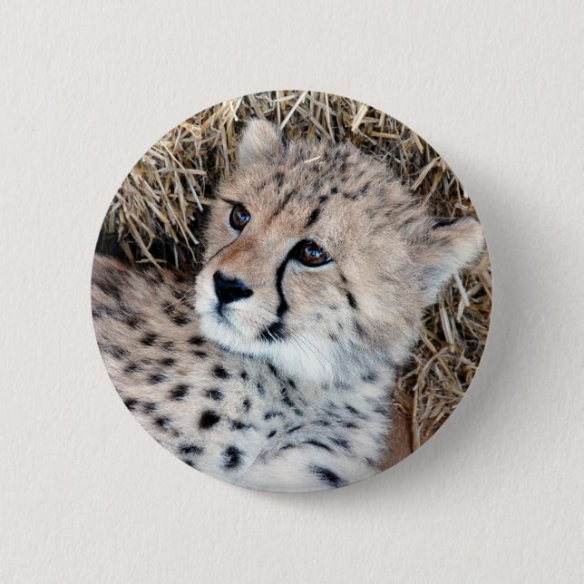 Cute Cheetah Cub Photo 6 Cm Round Badge (Front)