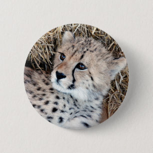 Cute Cheetah Cub Photo 6 Cm Round Badge