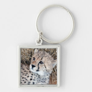 Cute Cheetah Cub Photo Key Ring