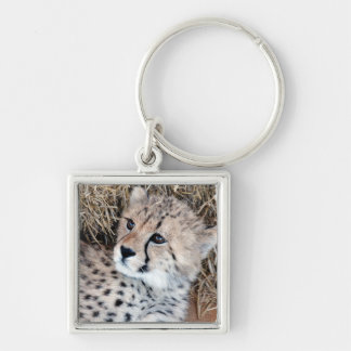 Cute Cheetah Cub Photo Key Ring