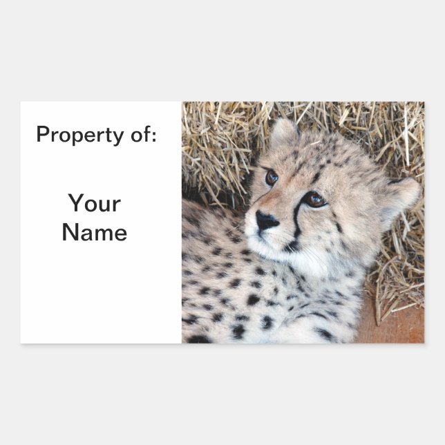 Cute Cheetah Cub Photo Name Label / (Front)